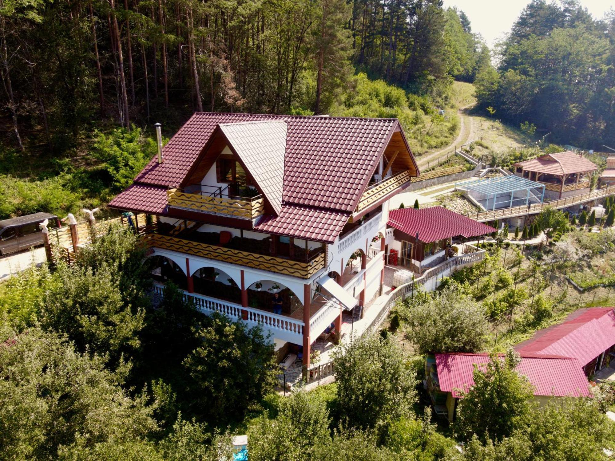 Vila Victoria Pangarati Buitenkant foto