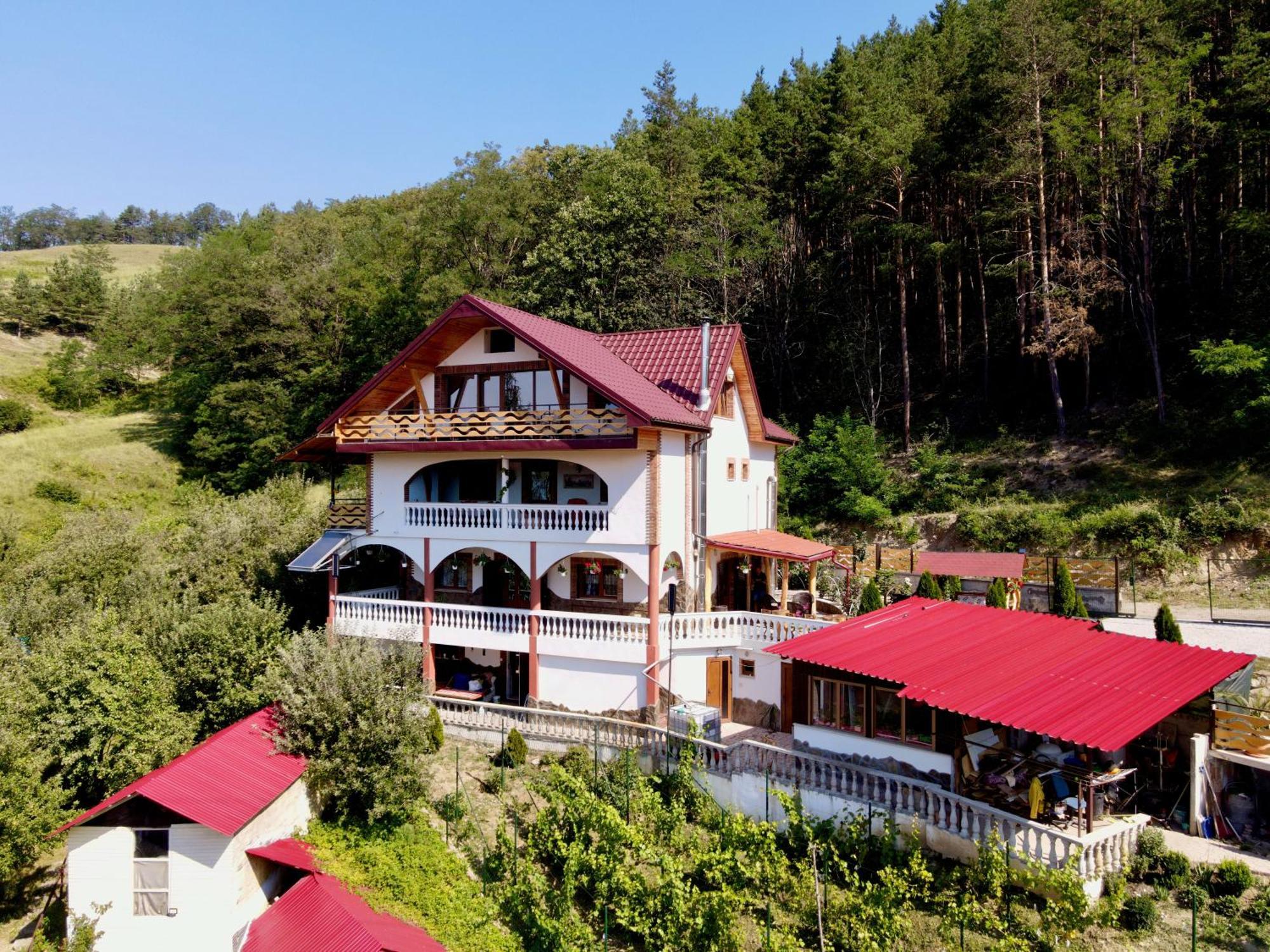 Vila Victoria Pangarati Buitenkant foto